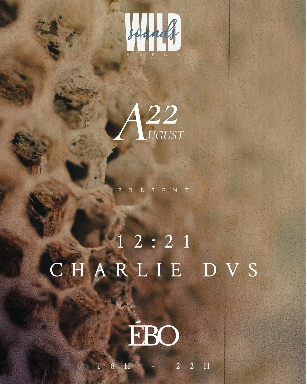 Affiche : WILDSOUNDS - 12:21 B2B CHARLIE DVS
