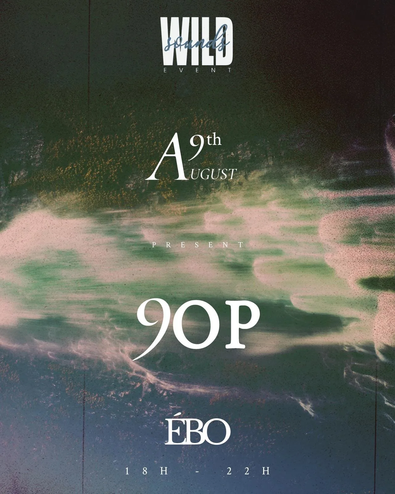 Affiche : WILDSOUNDS - 9OP