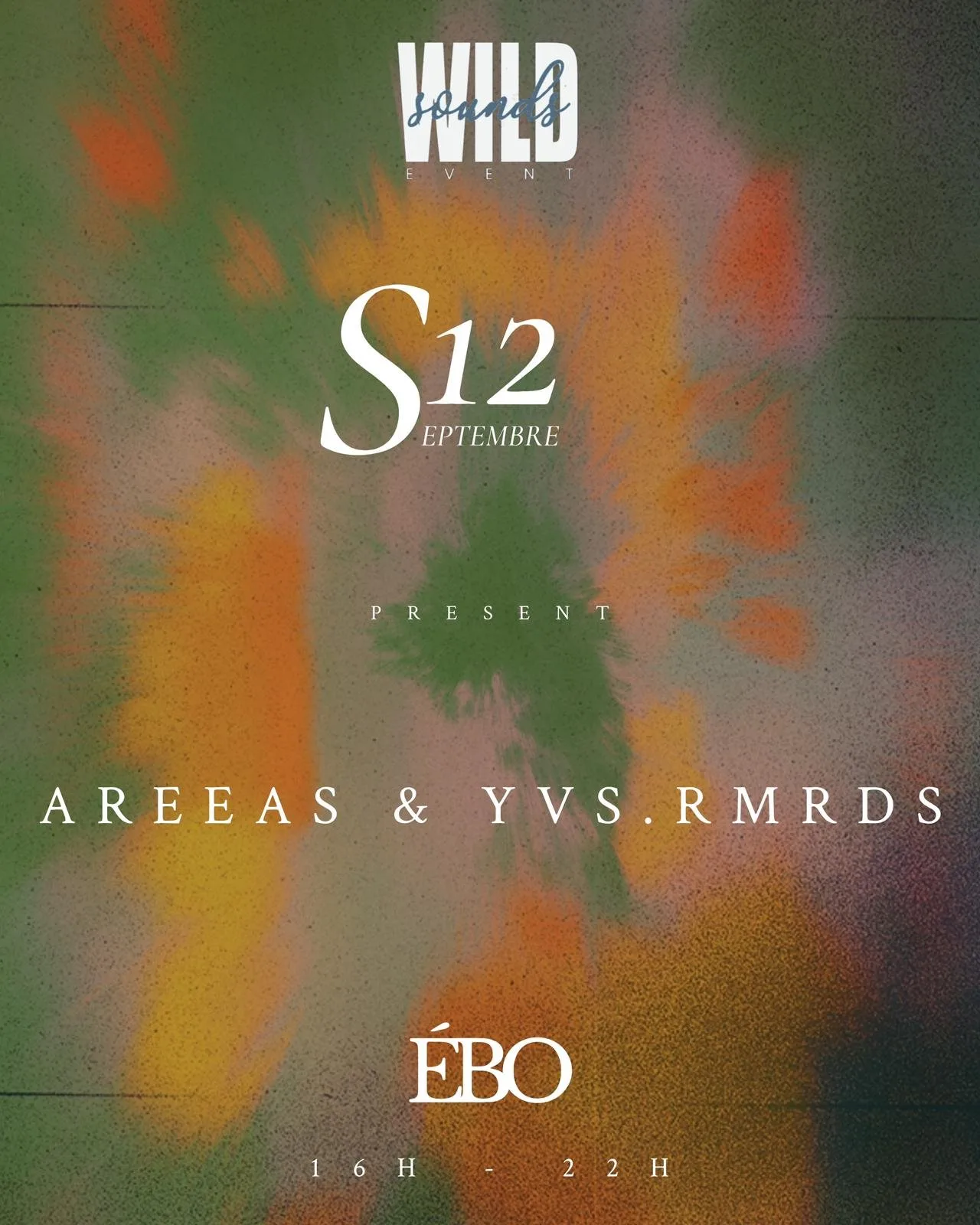 Affiche : WILDSOUNDS - AREEAS & YVS.RMRDS