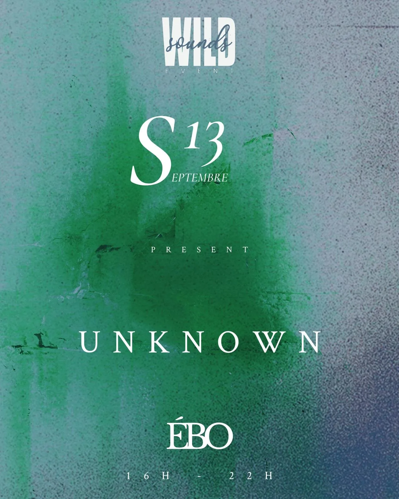 Affiche : WILDSOUNDS - UNKNOWN