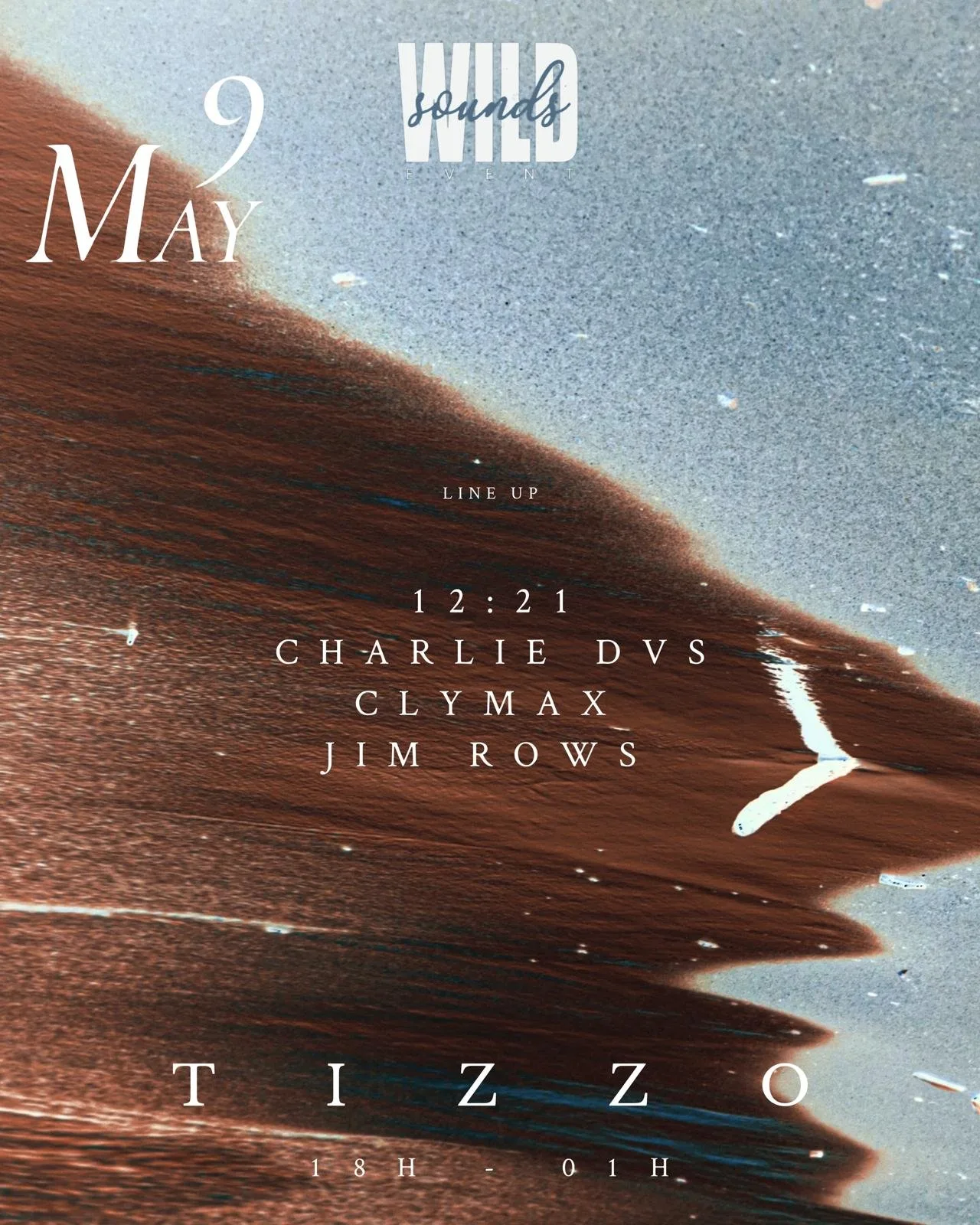 Affiche : WILDSOUNDS - TIZZO