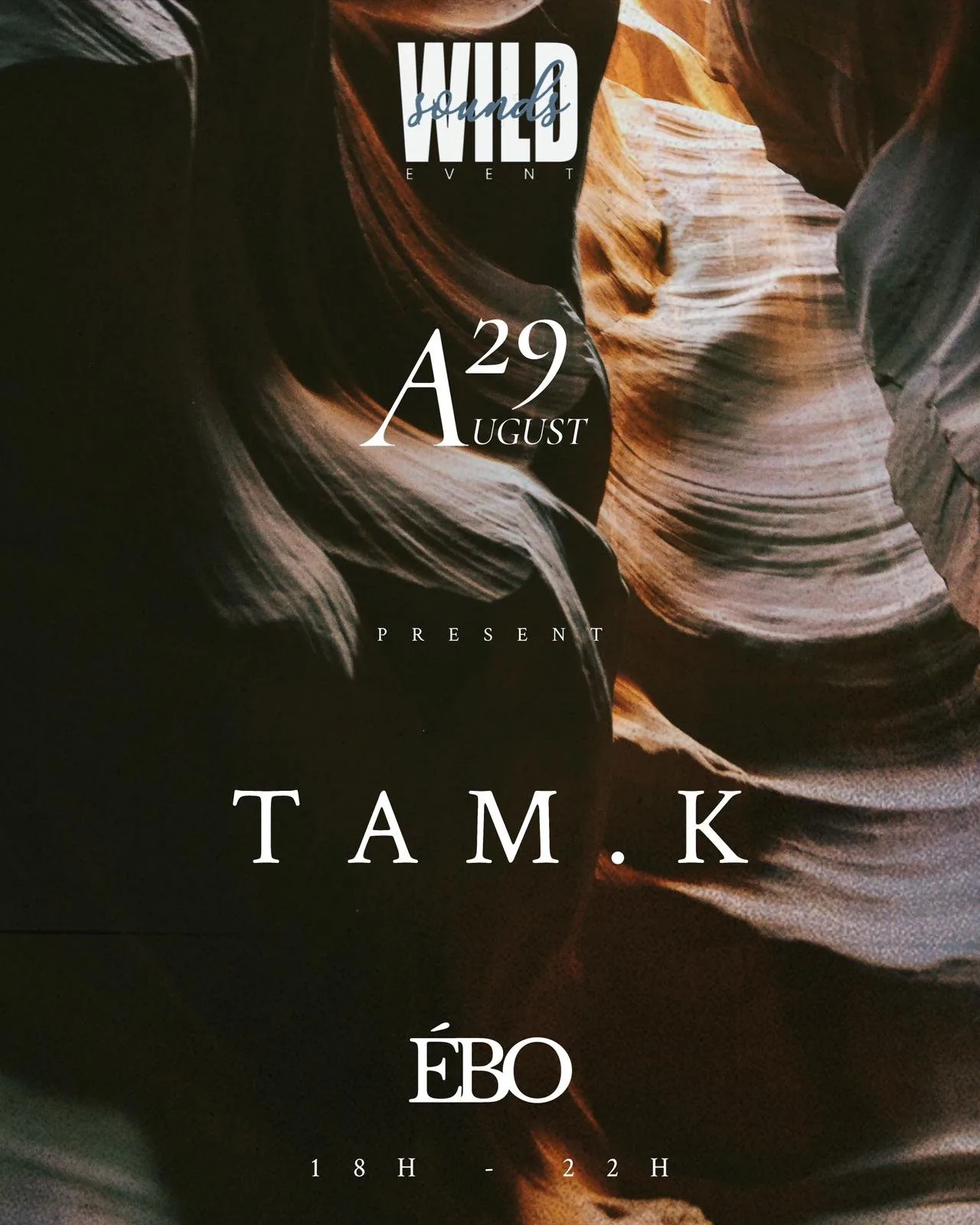 Affiche : WILDSOUNDS - TAM.K