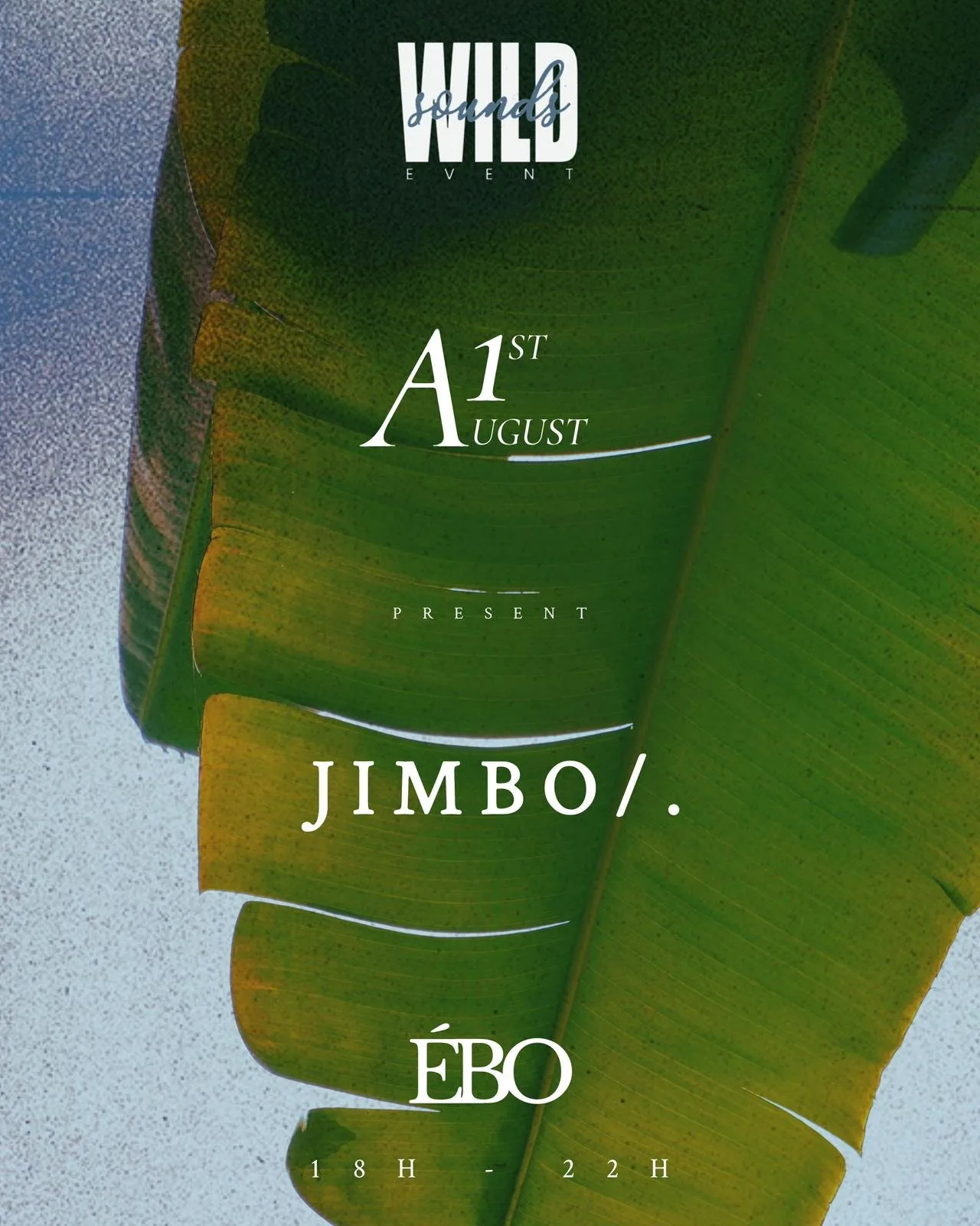 Affiche : WILDSOUNDS - JIMBO/.