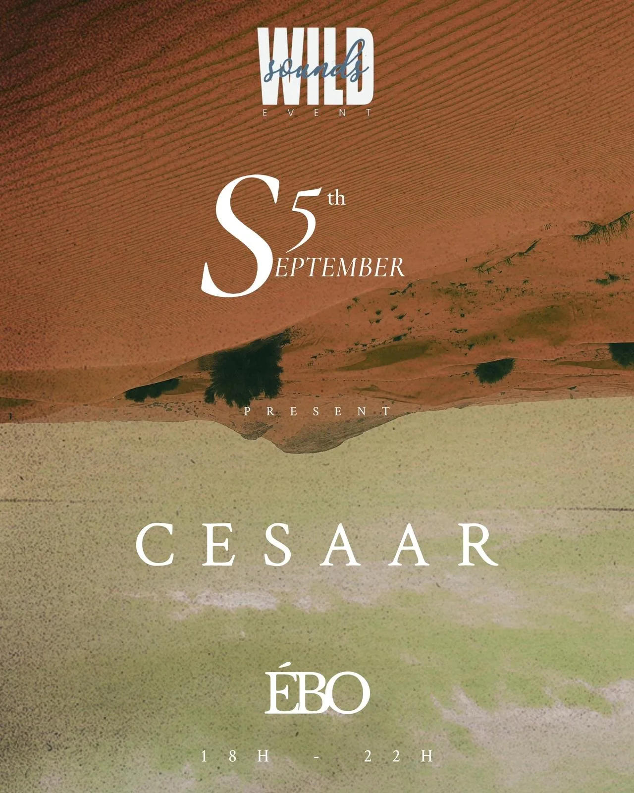 Affiche : WILDSOUNDS - CESAAR
