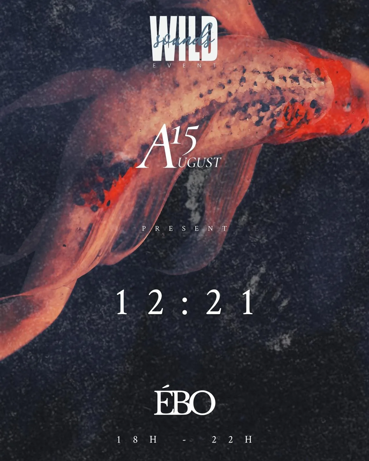 Affiche : WILDSOUNDS - 12:21