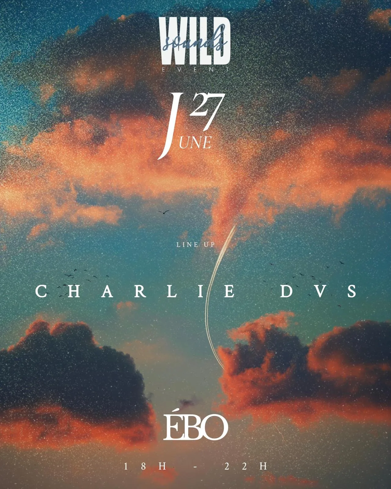 Affiche : WILDSOUNDS - CHARLIE DVS EBO