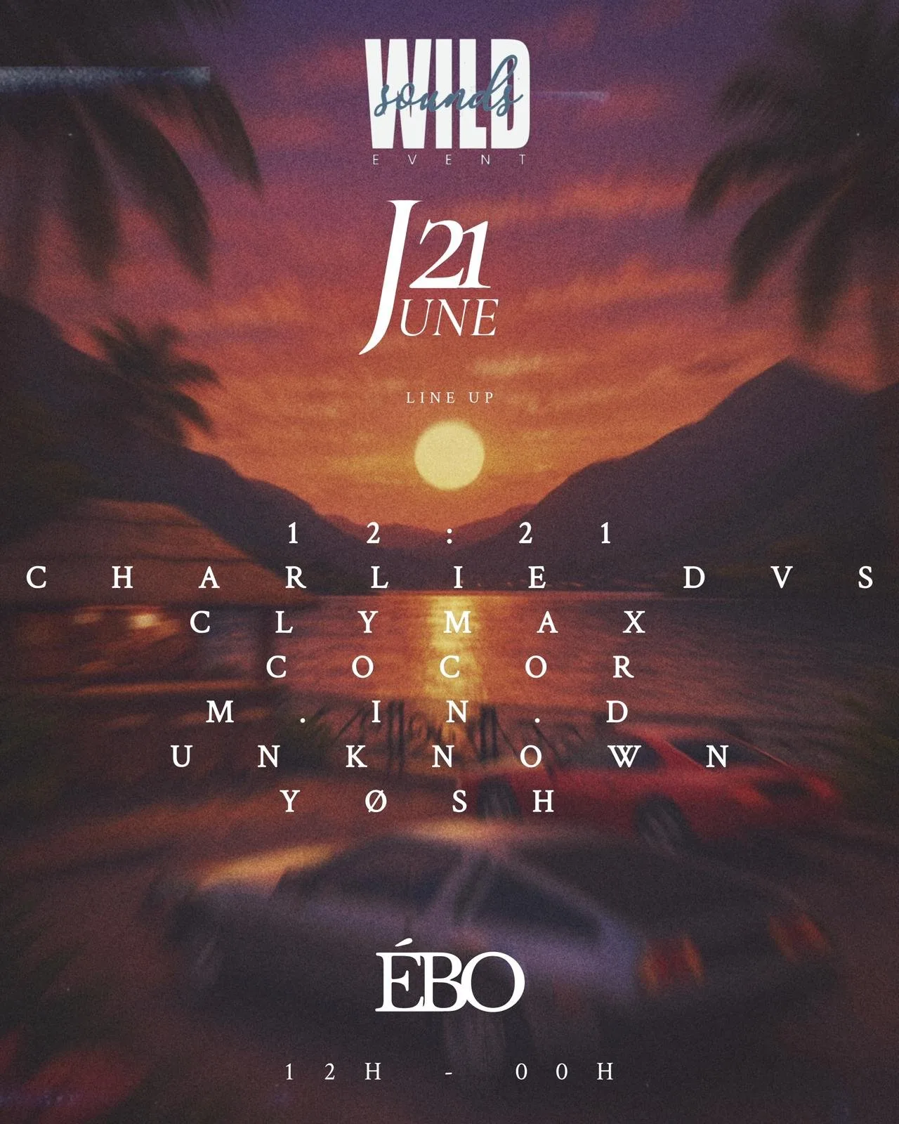 Affiche : WILDSOUNDS - EBO FDM